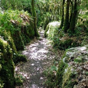 Balades Méditatives