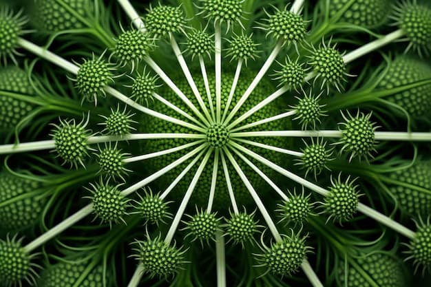 Balades Méditatives