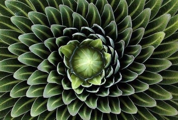 Balades Méditatives